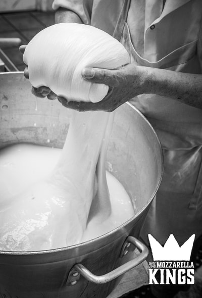 Black and White photo of man making fresh Mozzarella